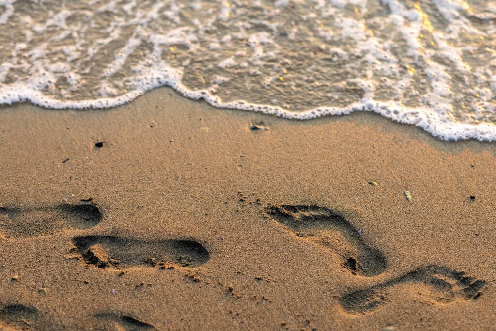kafka sulla spiaggia